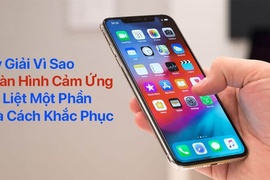 Lý giải vì sao màn hình cảm ứng bị liệt một phần và cách khắc phục