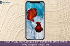 Hình nền cá lia thia 4K cực đẹp, biến màn hình điện thoại trở nên sống động hơn bao giờ hết