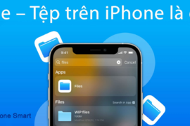 File, Tệp trên iPhone là gì? Cách sử dụng và quản lý File để lưu trữ