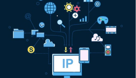 Địa chỉ IP là gì? Các loại IP phổ biến hiện nay có thể bạn chưa biết