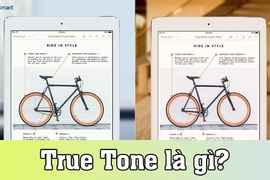 True Tone là gì? Có nên bật True Tone hay không?