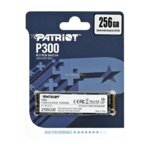Thay Ổ Cứng Laptop SSD PATRIOT P300 M2 PCIE NVME 2280 256GB