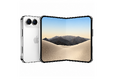 iPhone Duo