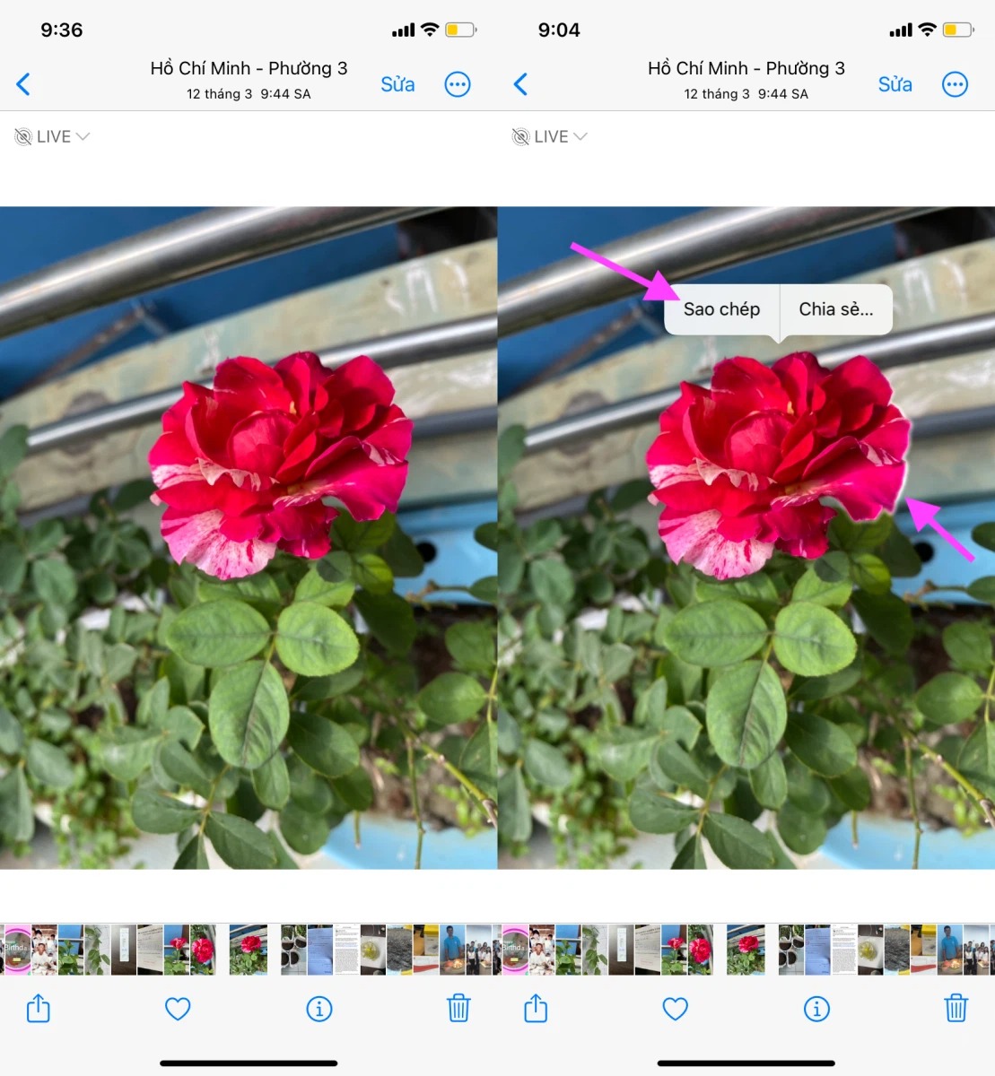 Cách tách nền ảnh trên iOS 16 không cần cài thêm ứng dụng bên thứ ba