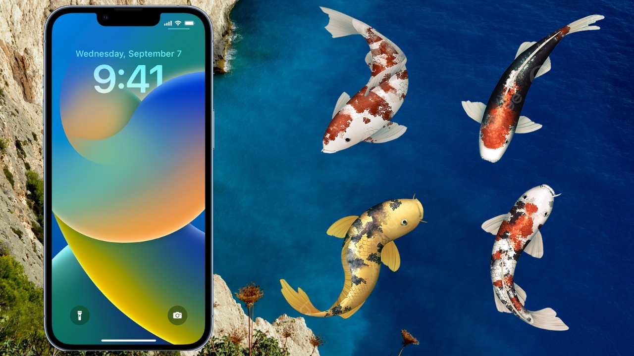 Hình nền cá Koi cho điện thoại máy tính chất lượng 4K sinh động nhất, thu  hút nhiều năng lượng tích cực đến cho bạn